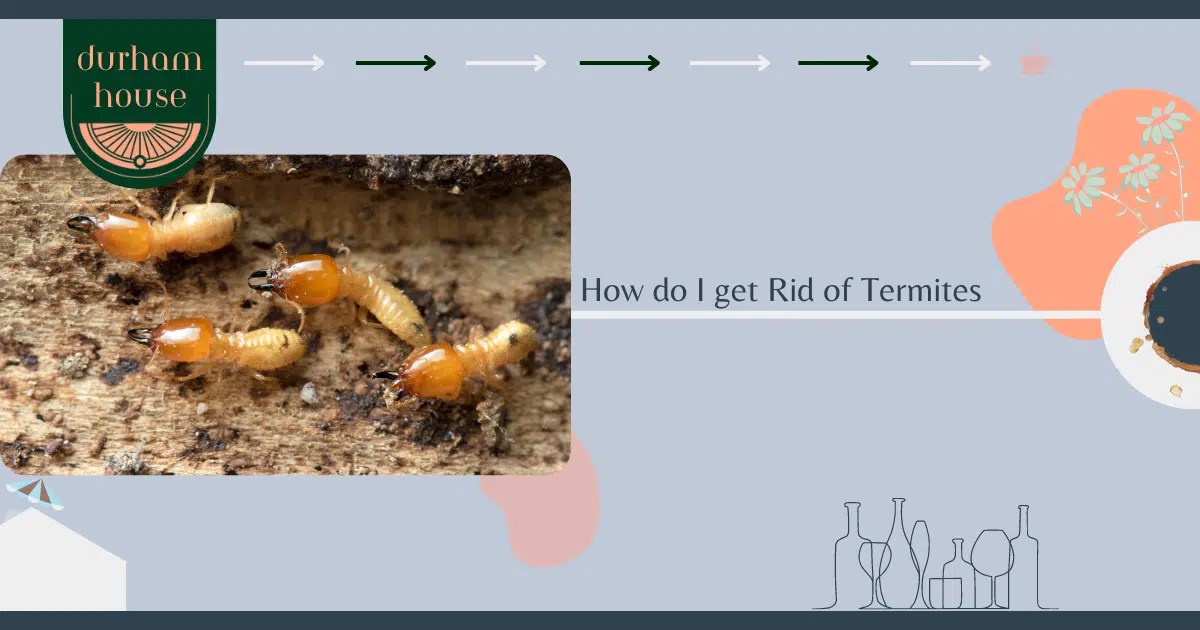 How do I get Rid of Termites? Durham House