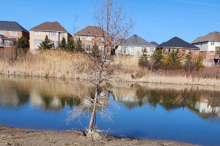 Leave Harmony Creek alone, says residents group Durham Post