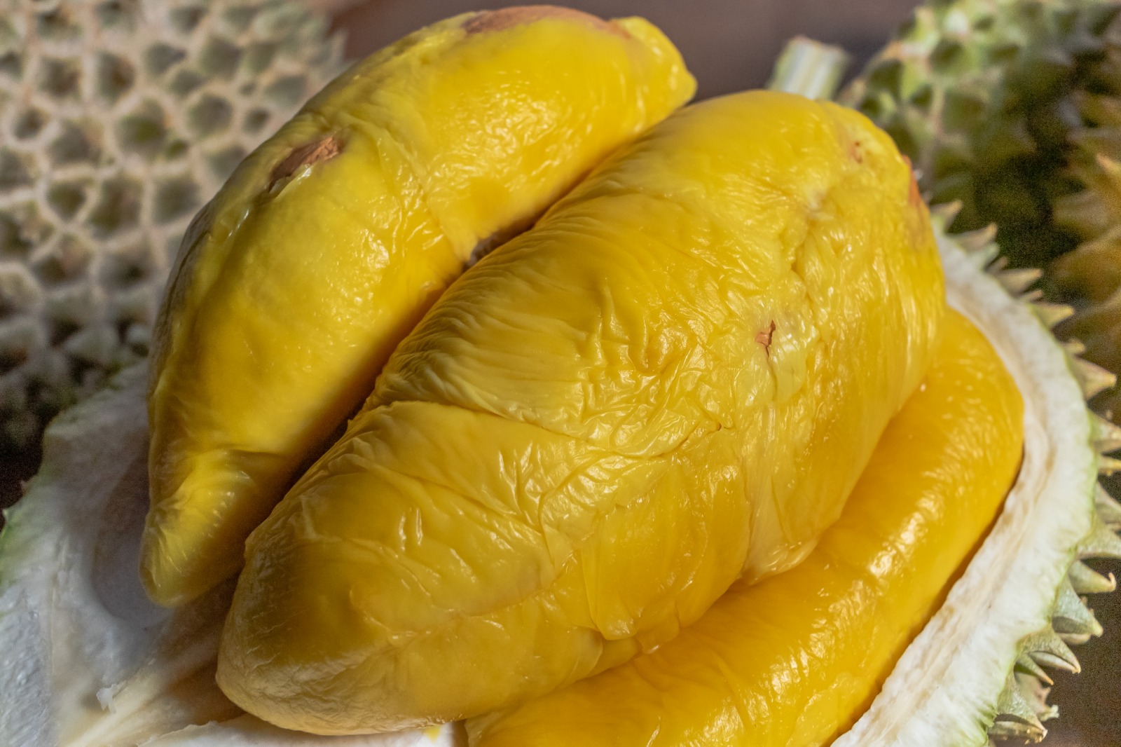 Durian Price Durian Delivery Singapore