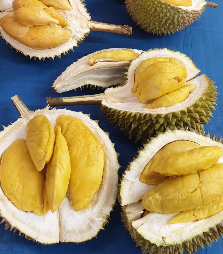 Durian Retail Durian Market Guide Durian Delivery Express