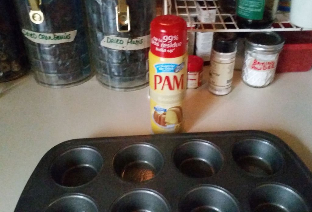 Chocolate Cinnamon Blueberry Muffins • Bri K's Dusky Illusions