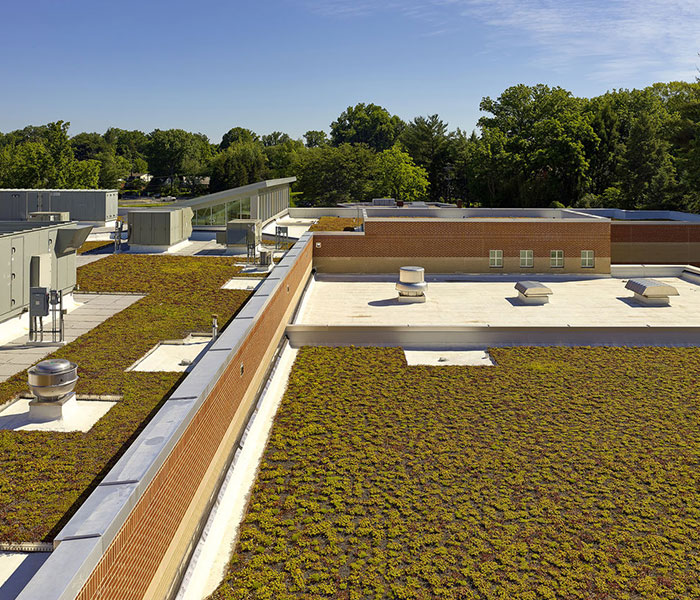 Garrett Park Elementary School Dustin Construction