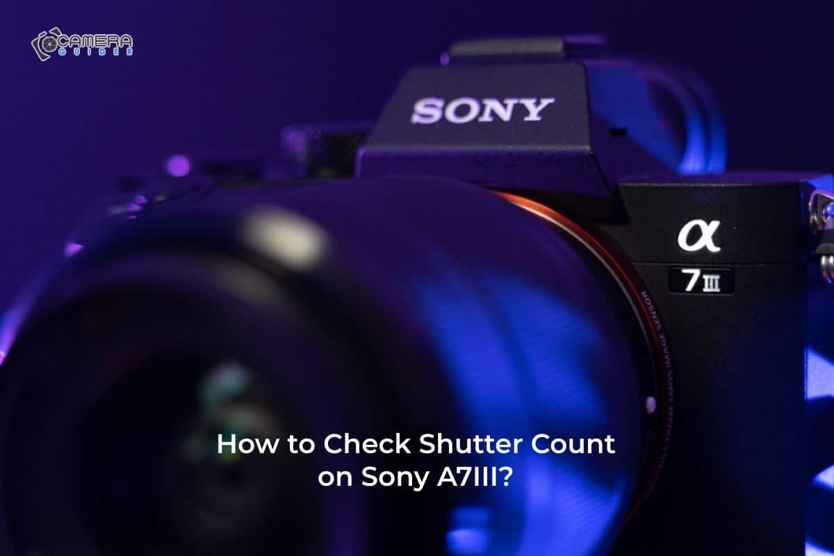 How to Check Shutter Count on Sony A7III? Guide]