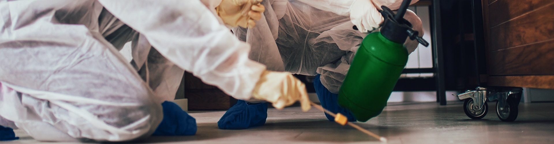 Termite Specialists Serving Fresno, CA Dustin Pest Control