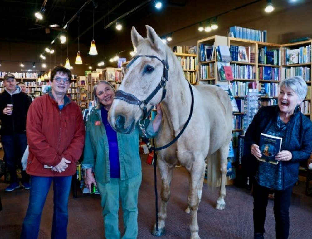Meet Dusty at the Horse Crazy Holiday Market! Dusty's Adventures