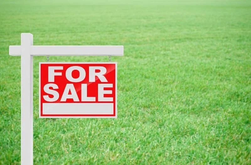 How To Sell Land For Cash Quickly And Easily? Dutable