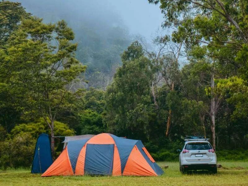 Why Car Rental In Australia Is Perfect For Road Trips? Dutable