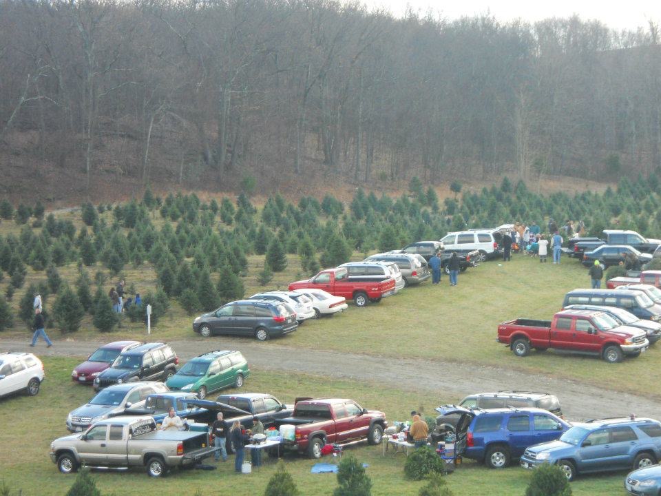 Dutchess County Christmas Tree Farms