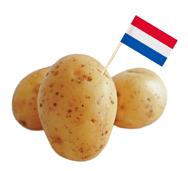 Dutch Potatoes