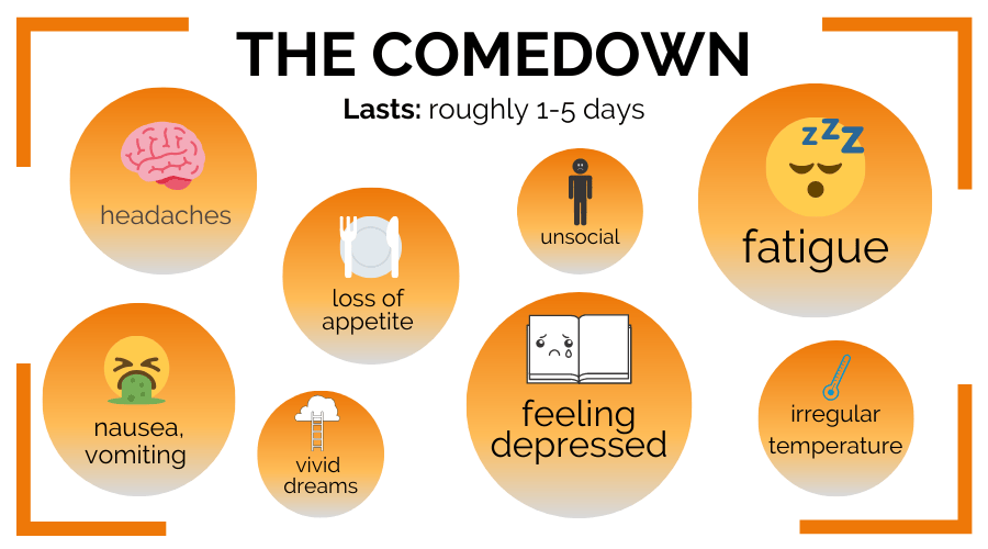 Everything you've ever wanted to know about cocaine in the Netherlands