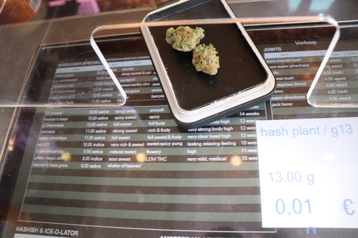 Amsterdam’s best weed guide to and cannabis [2021