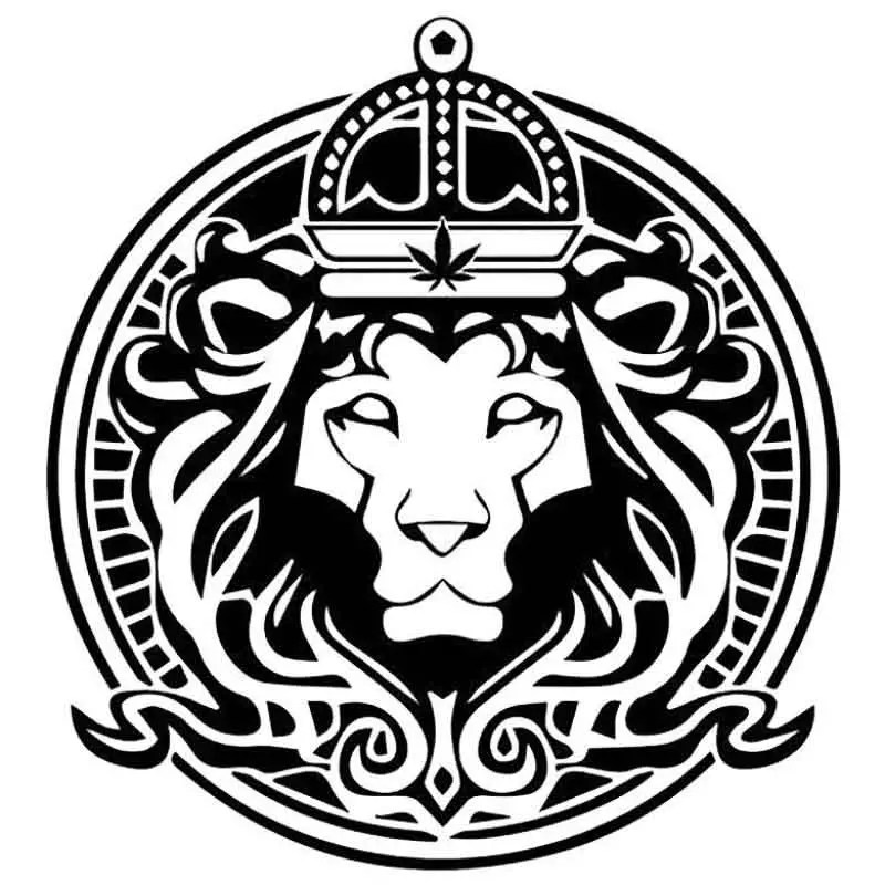 Best Autoflower Seed Banks to Buy From In 2023 DSS