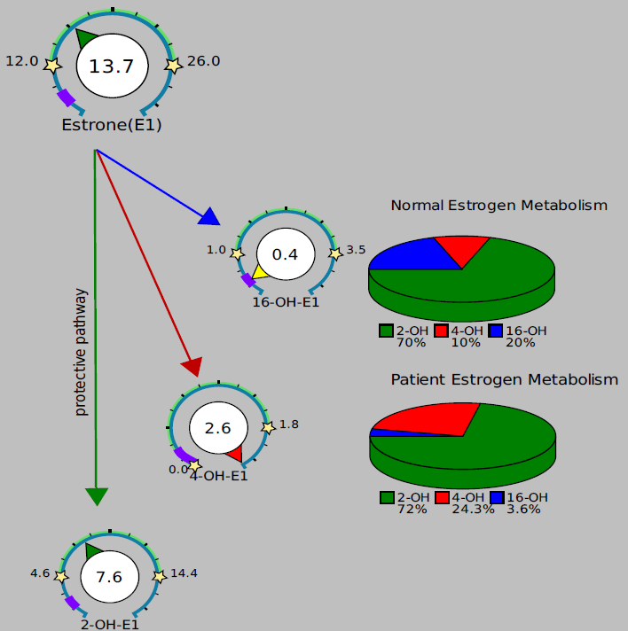 Estrogen Tutorial DUTCH Test