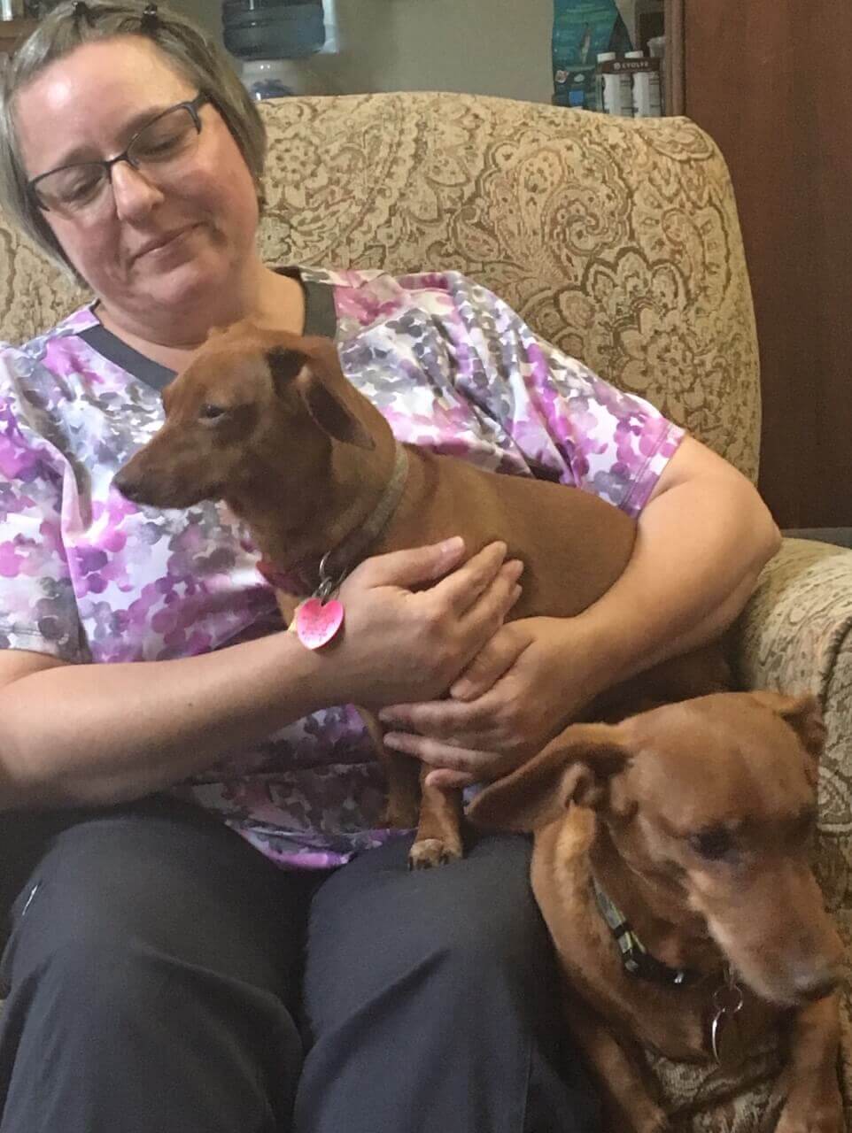 Animal Hospital Near Me 98019 Duvall Veterinary Hospital