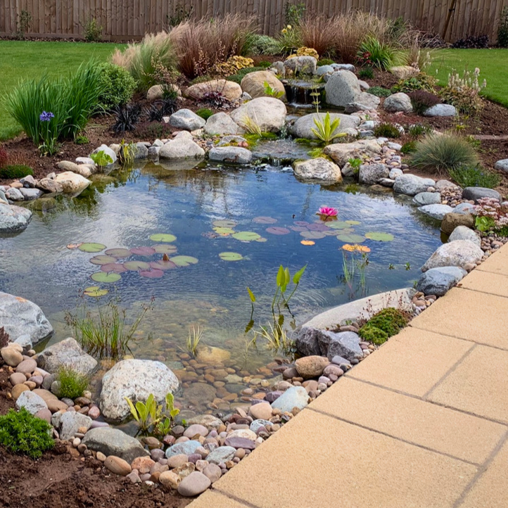 Ecosystem Ponds Construction in Somerset & Devon DU Waterscapes