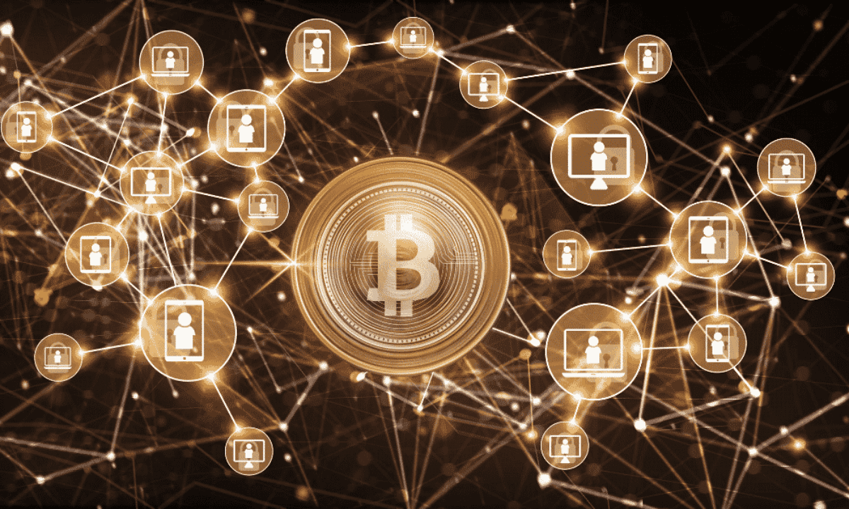 Exchange Crypto Terbaik Di Indonesia 1 / Halo member