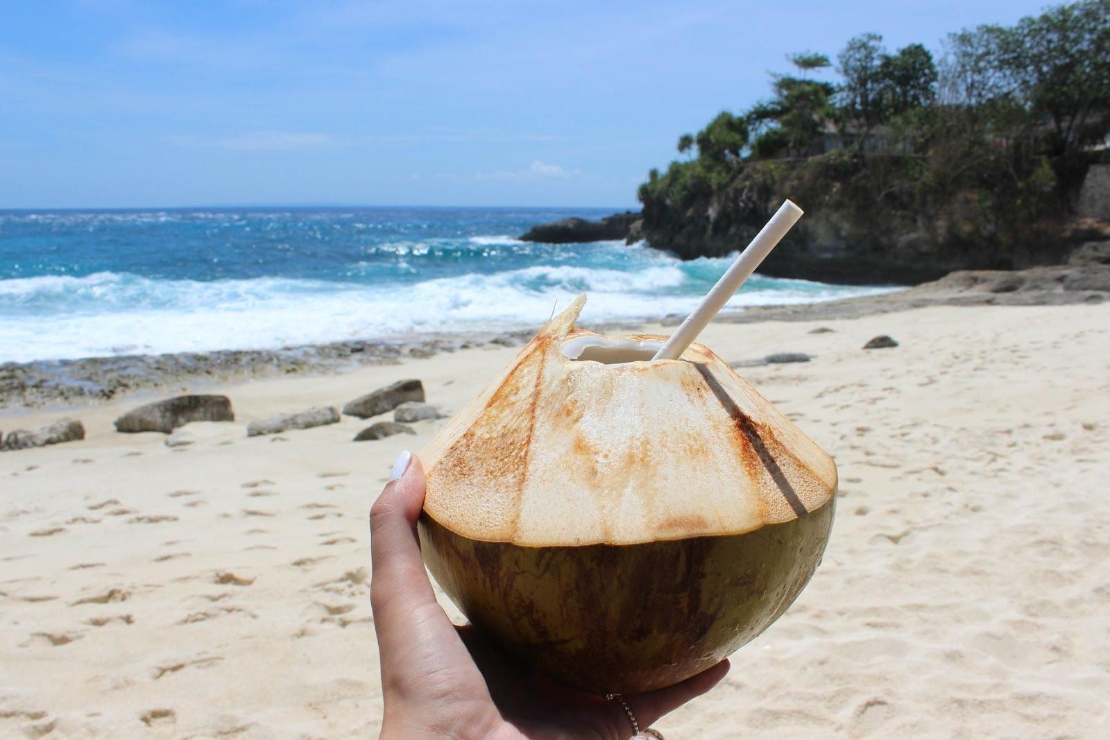 11 MustTry Coconut Milk Infused Cocktails To Tantalize Your