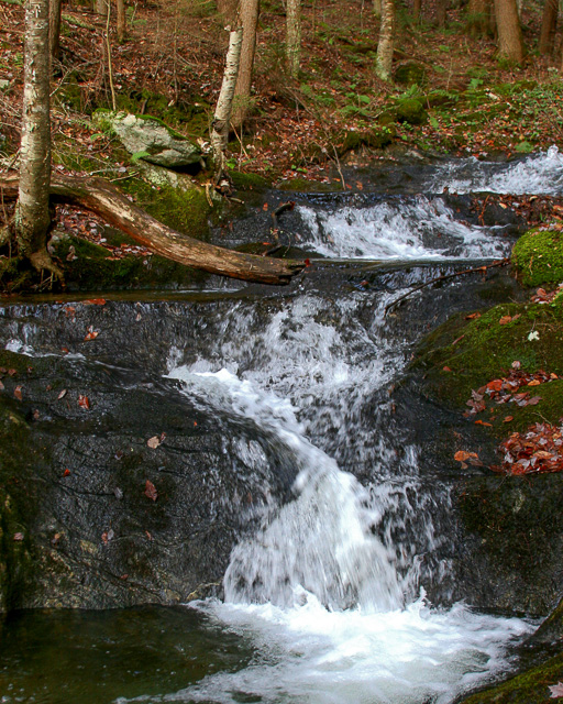 Town Forests Unique Community Assets in a Long Vermont Tradition