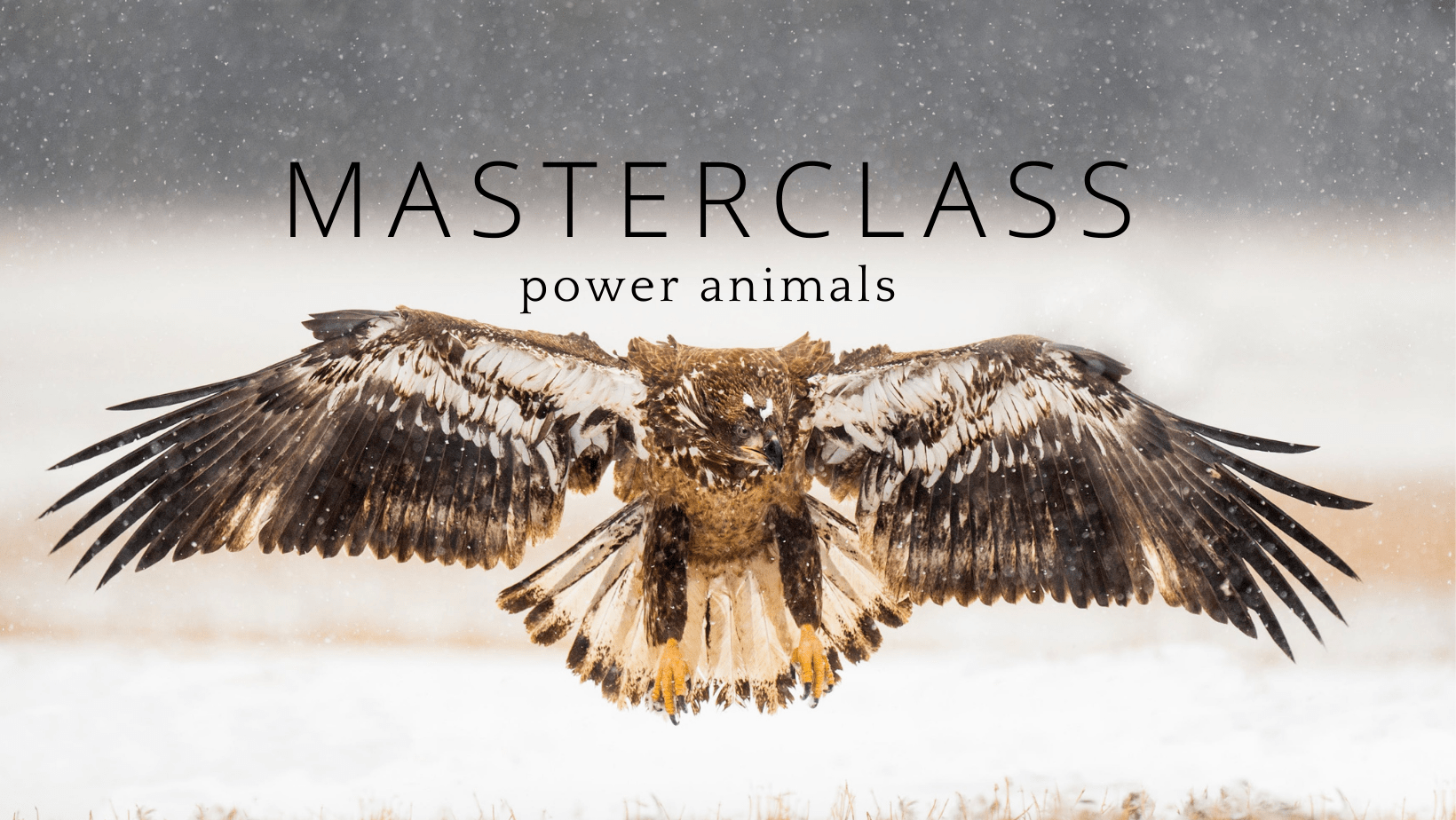Masterclass Power Animals Connecting to Your Animal Spirit Guide