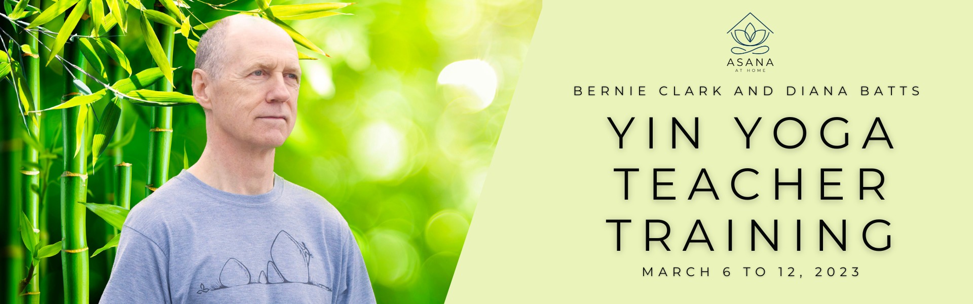 Course Yin Yoga Teacher Training Online March 6 12, 2023 — Asana at