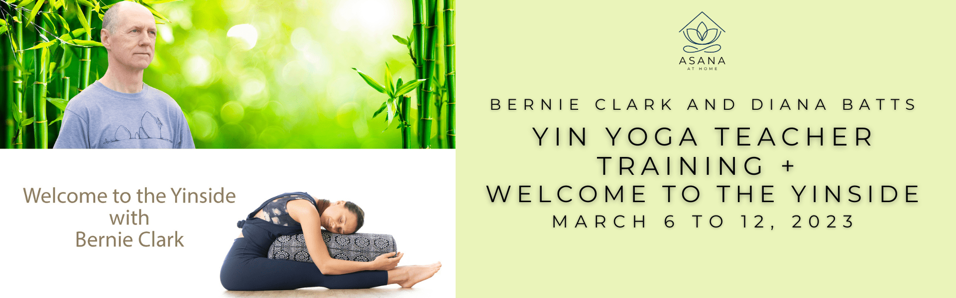Yin Yoga Teacher Training Online March 6 12, 2023 + to the