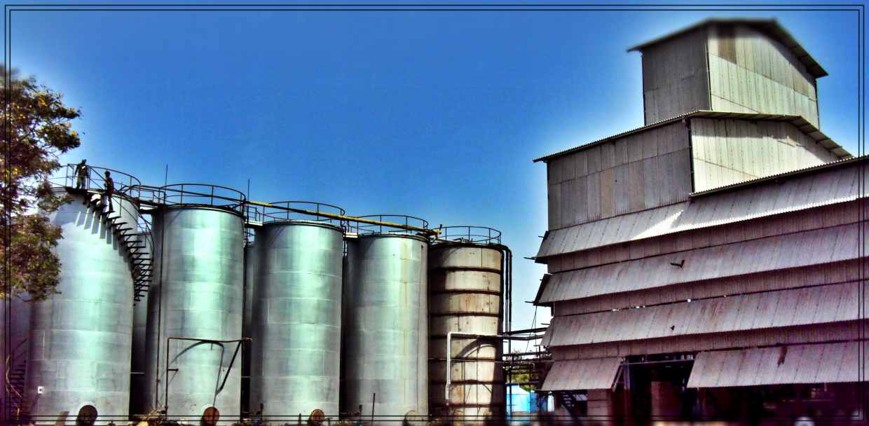 Oil Seed Extraction Plant Solvent Extraction Plant Manufacturers in India