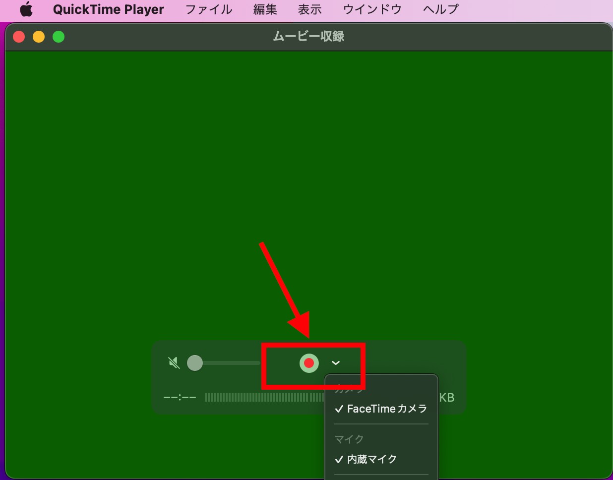 ???QuickTime Player??????????????????????????????????????????