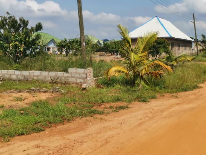 Serviced land for sale at PRAMPRAM PERFECTLY MEASURED LANDS 257863