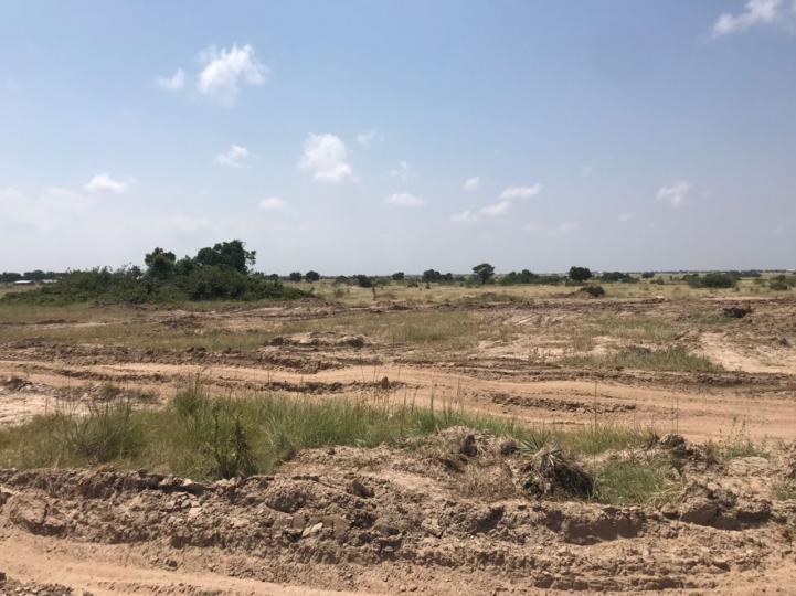 Serviced land for sale at PRAMPRAM OWN A PLOT & ENJOY FREE CORNE 259268