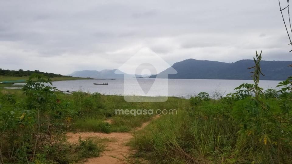 Commercial land for sale in AKOSOMBO 241389