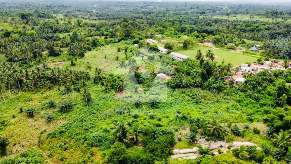 Land for sale at Nsawam Road 300221