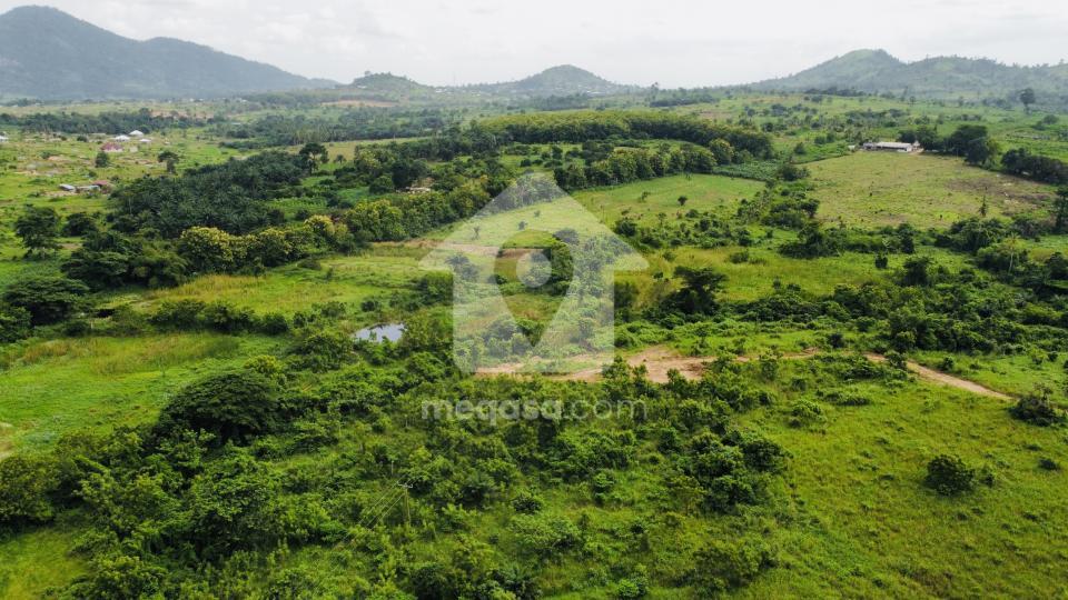 Land for sale at Nsawam 300887
