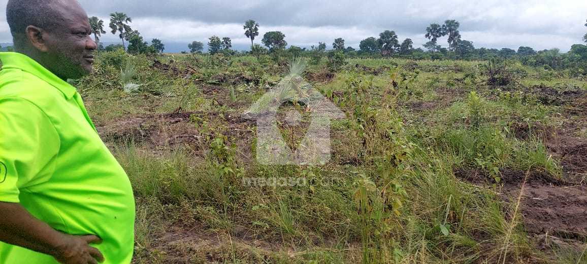 Land for sale at HO AIRPORT 336373