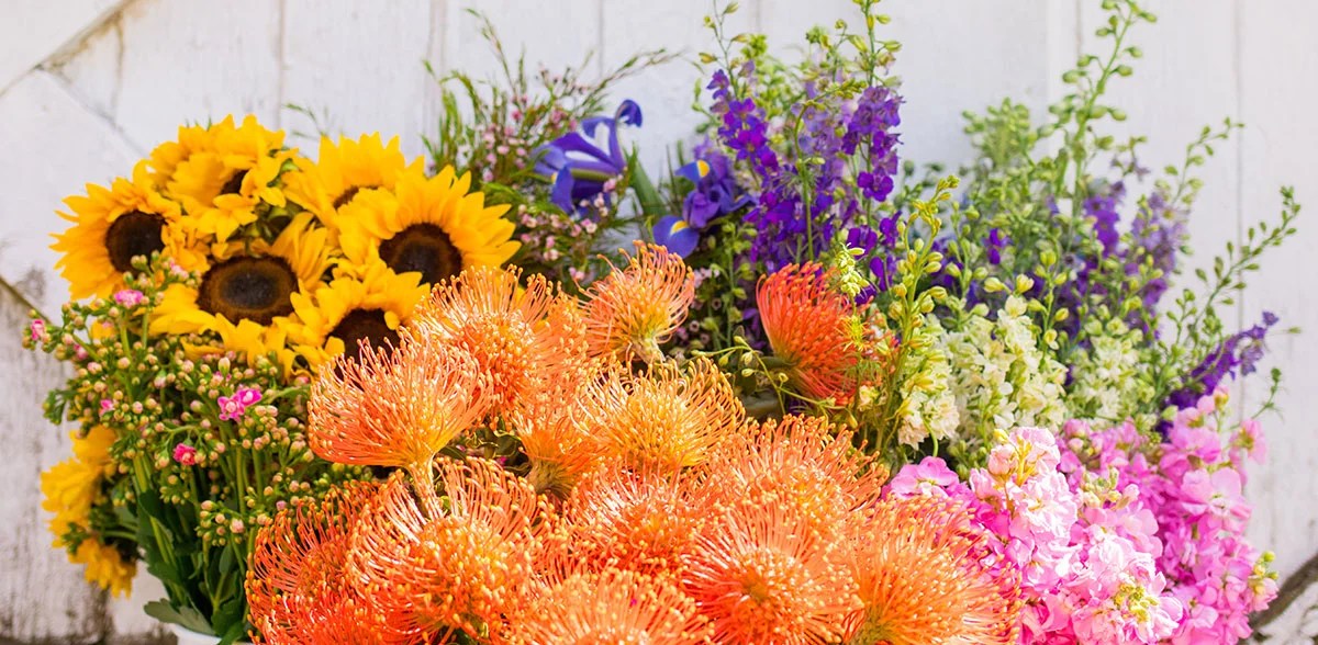 Marketing Material for American Grown Flowers Month 2022 DV Flora