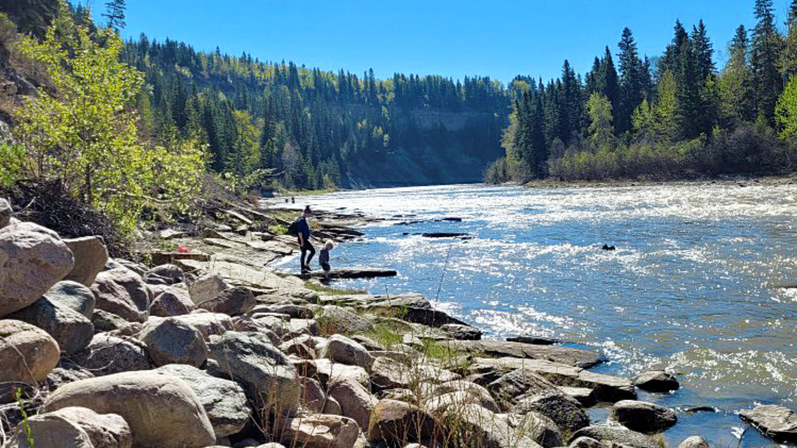 Panning the Pembina Drayton Valley and District Free Press