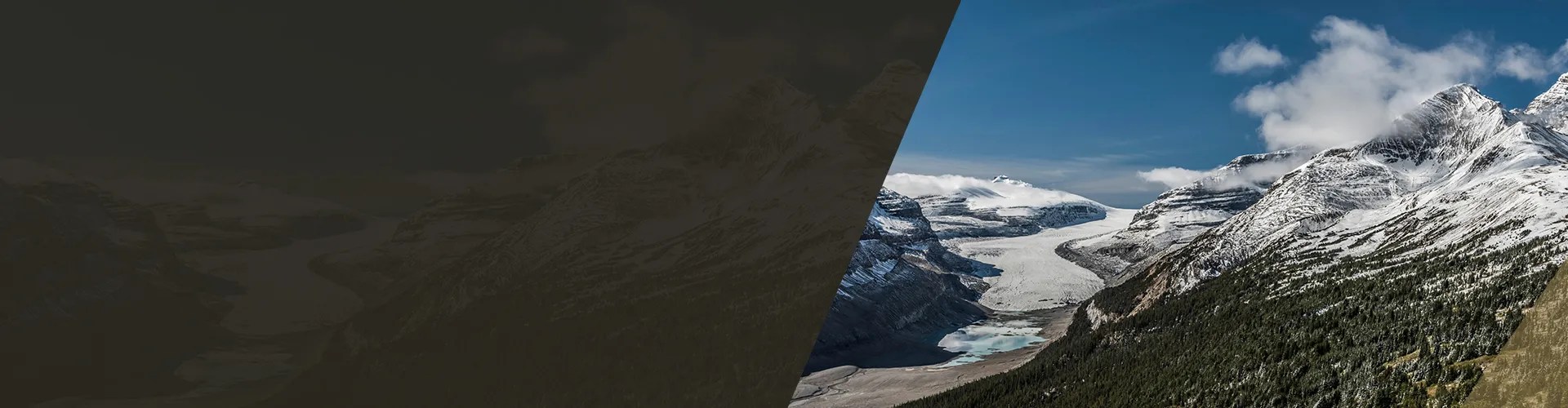 Real Estate Agent, Realtor Parker Real Estate Services