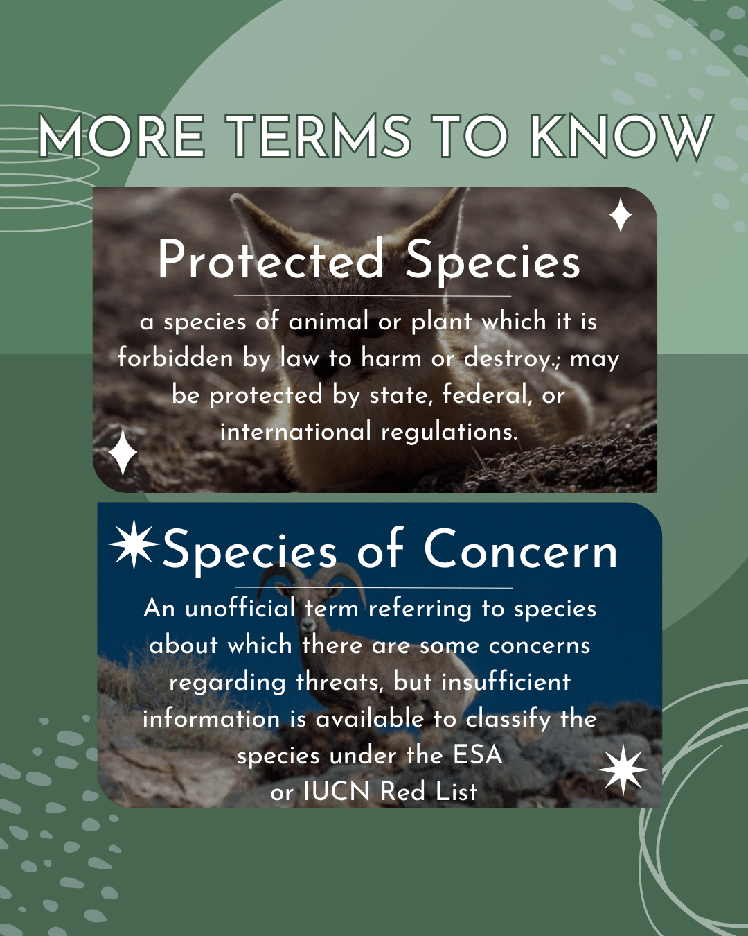 Endangered Species Classification Systems Death Valley Natural