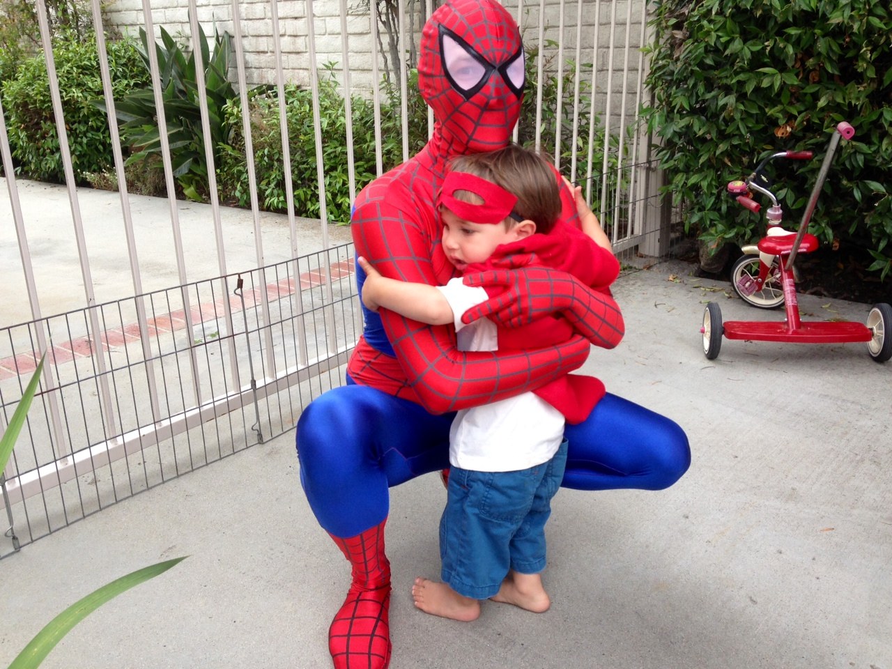 Grate, Spider Grate, Black, Matte Finish (Wolf Gourmet, Wolf Appliance