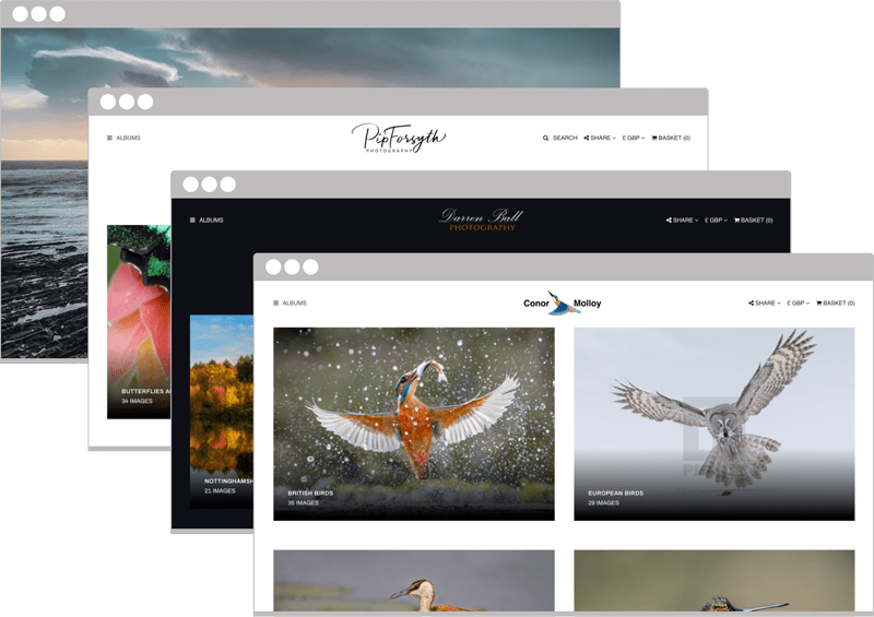 Picfair Plus User Guide Index Picfair Blog