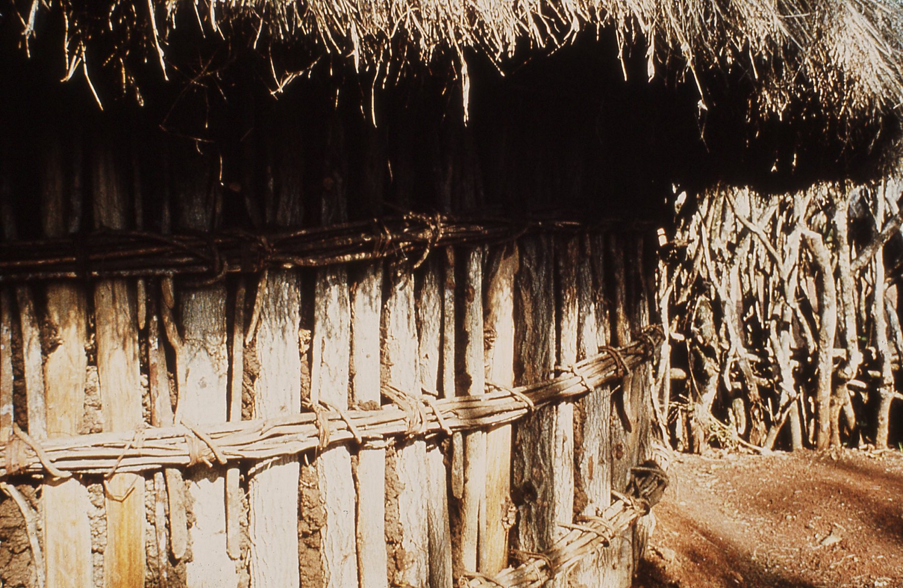 Wood and mud constructed building exterior DW Digital Archive
