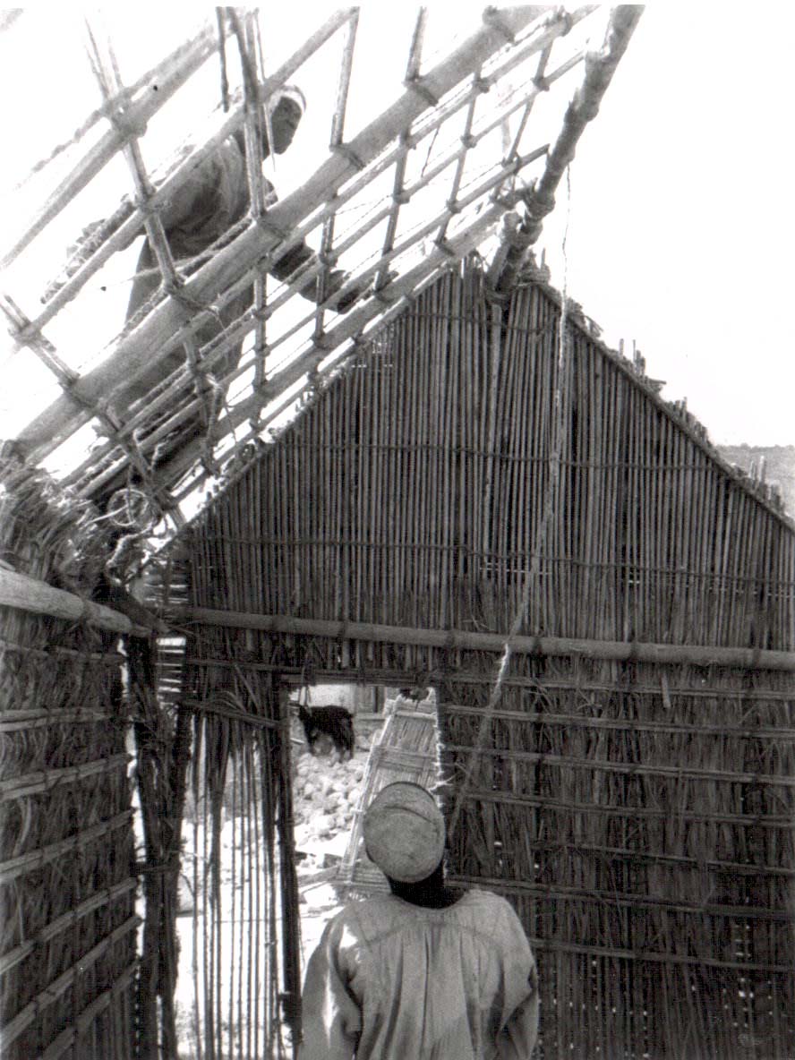 Roofing barasti (date palm frond stem) house in Sohar DW Digital Archive
