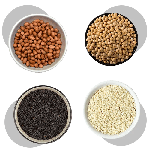 Oil Seeds Dwarkesh International