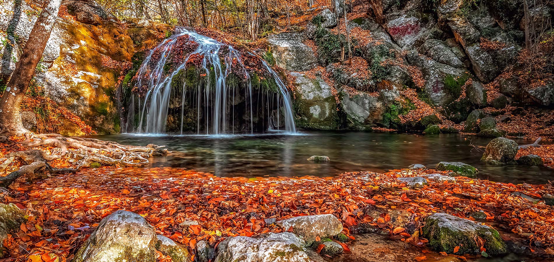 Holly Springs Homes For Sale Homes For Sale In Holly Springsh, NC