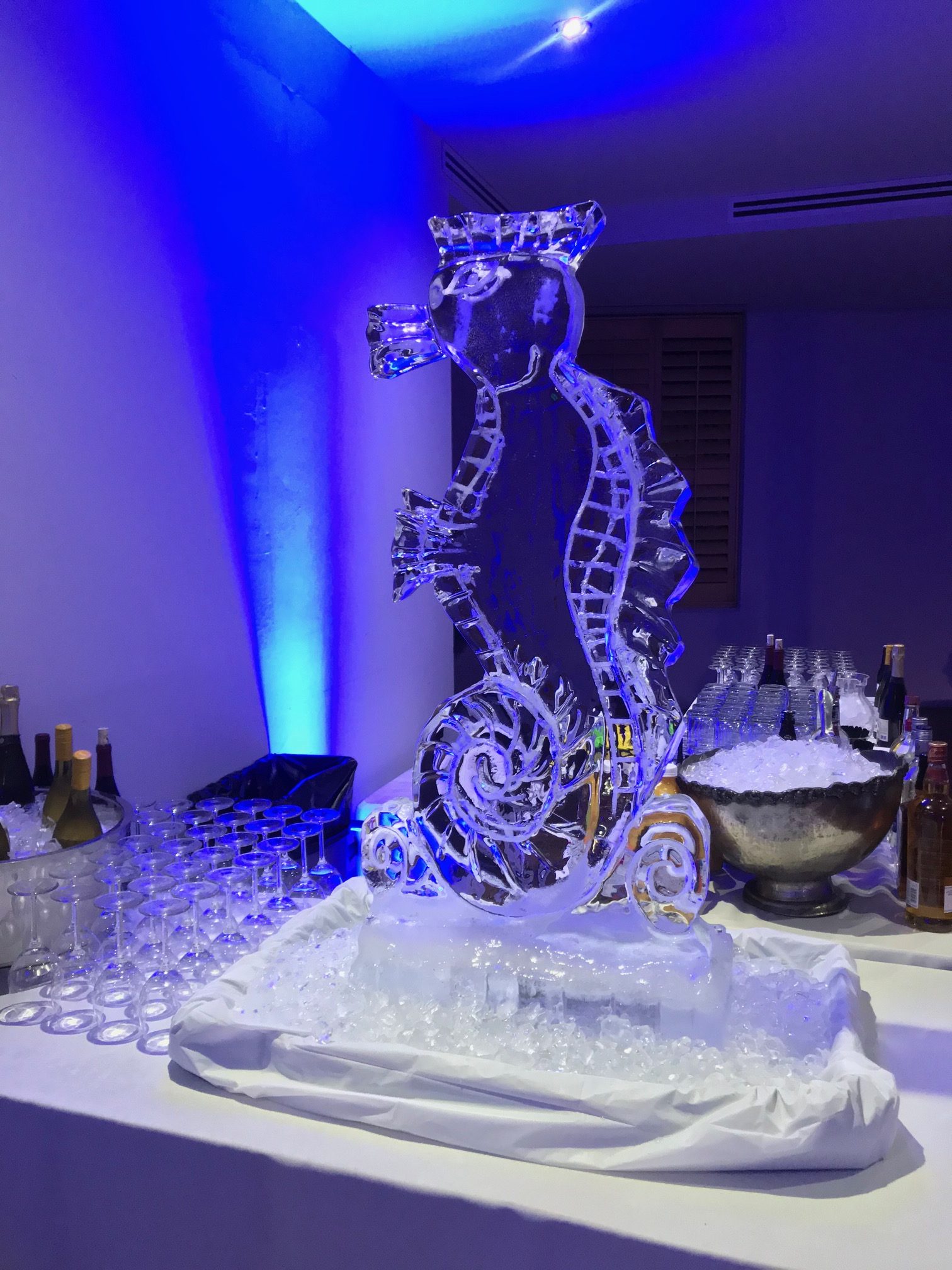 image3 The Dallas World Aquarium