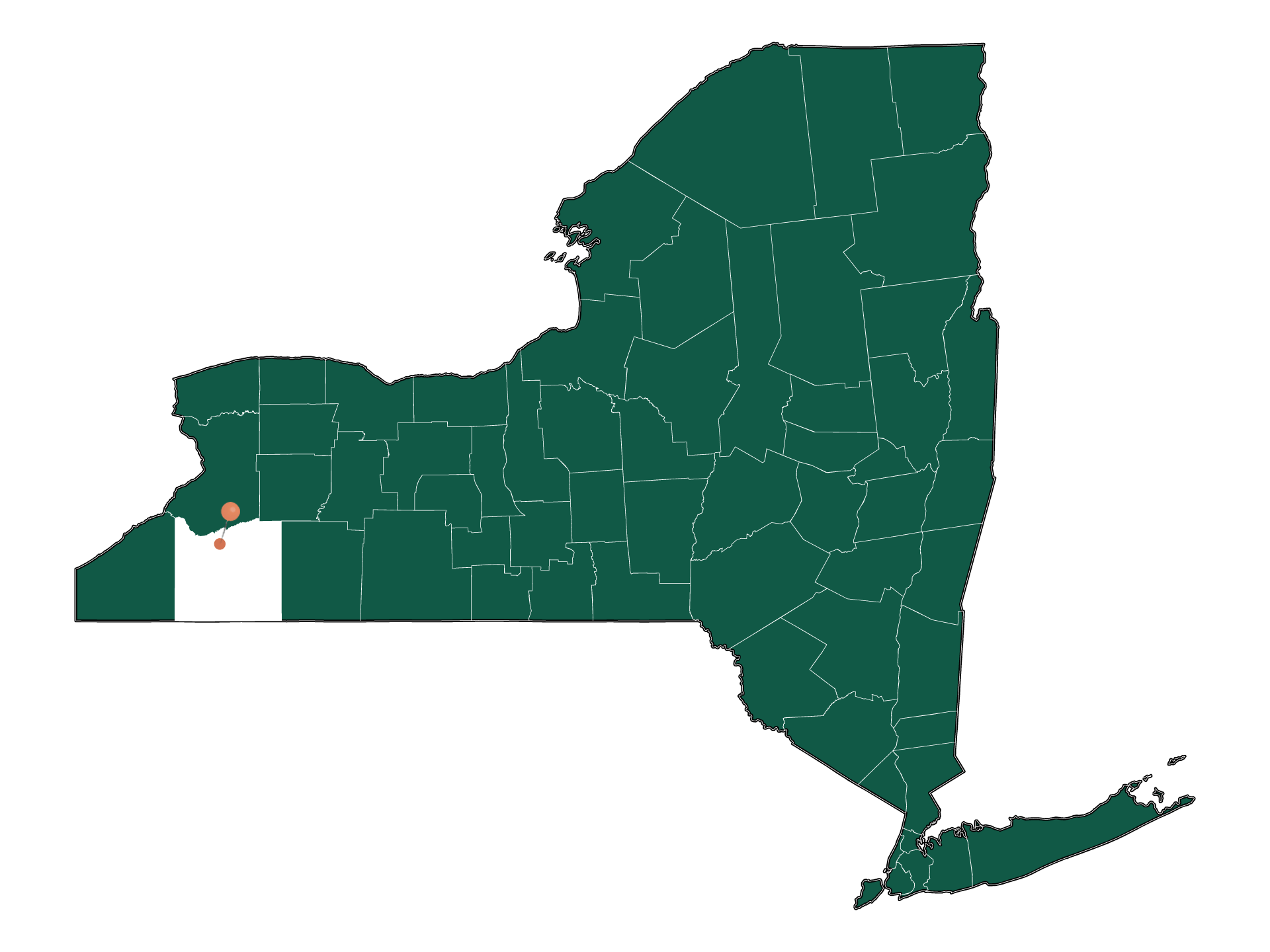 Pros and Cons of living in East Otto, New York