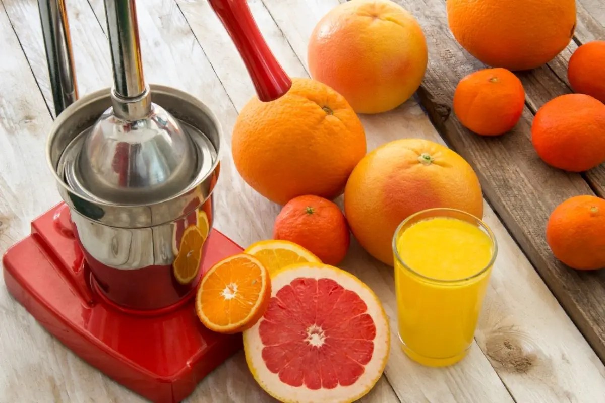 Best Cold Press Juicer dwellure