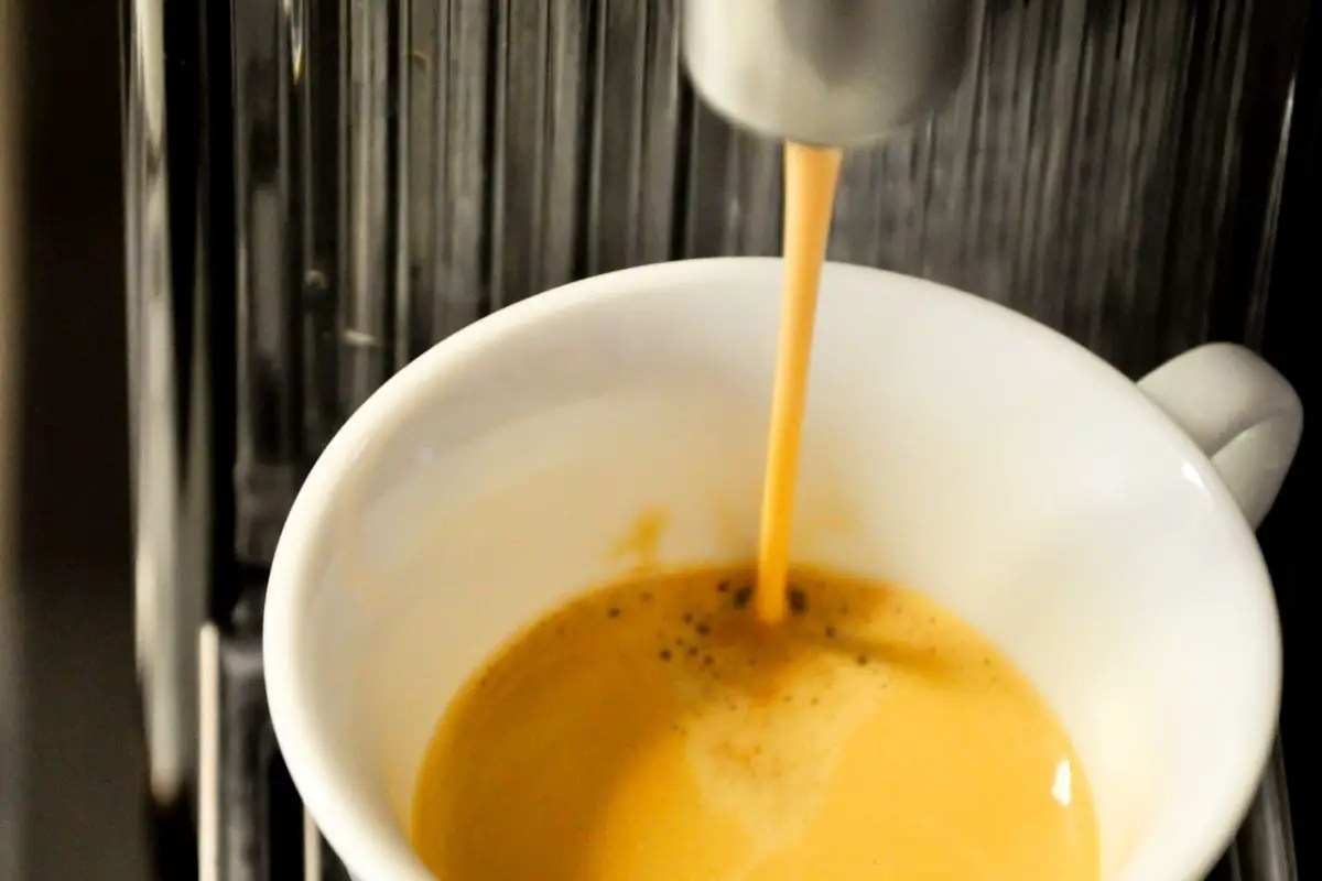 Best Nespresso Machine dwellure