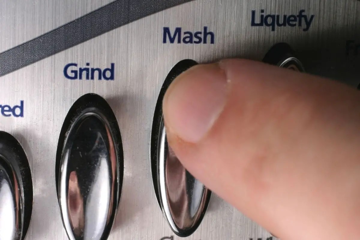 Best Ninja Blender dwellure