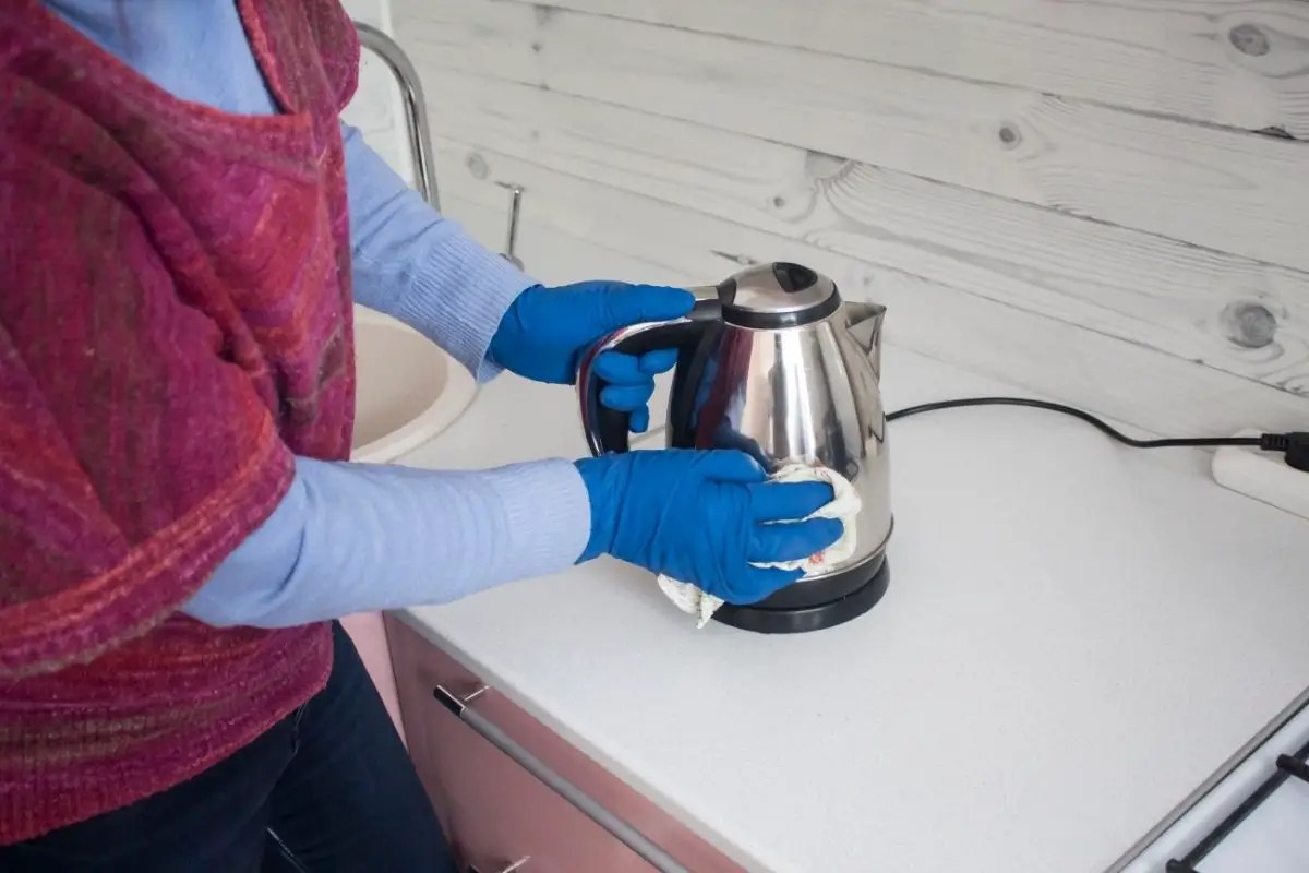 How To Clean An Electric Kettle dwellure