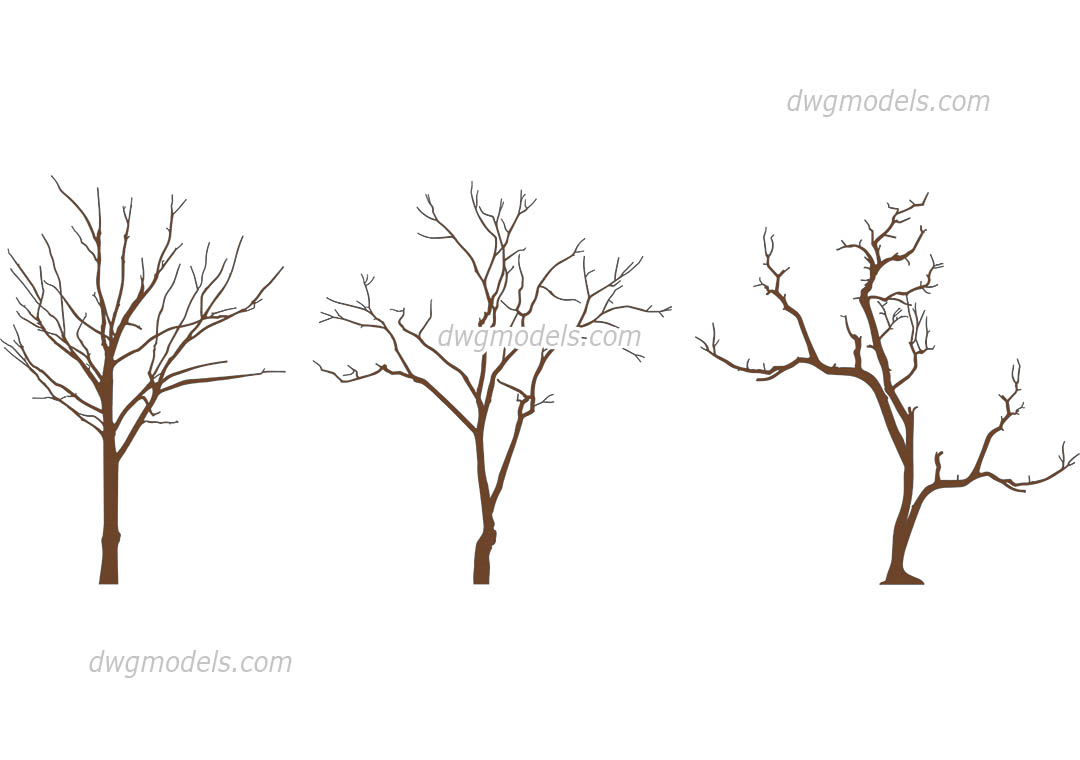 Winter Trees Cad blocks in elevation
